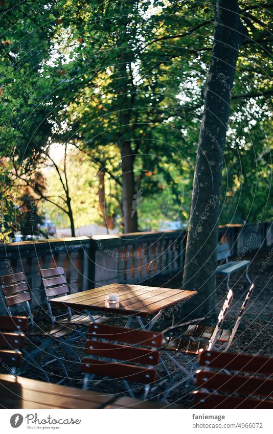 Letzter Tag des Biergartens III biergarten Draussen sitzen Stühle Garten Park Café Restaurant terrasse sich[Akk] beugen baum Wald Blätter Blätterdach Grün