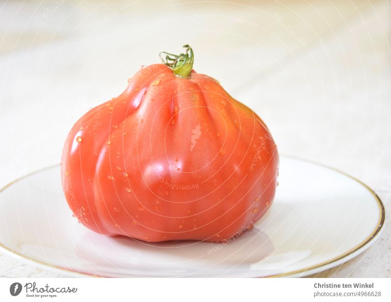 Eine Ochsenherz Tomate auf einem weißen Teller mit Goldrand Ochsenherztomate Ochsenherz-Tomate Fleischtomate Gemüse reif rot tomatensorte Ochsenherztomaten