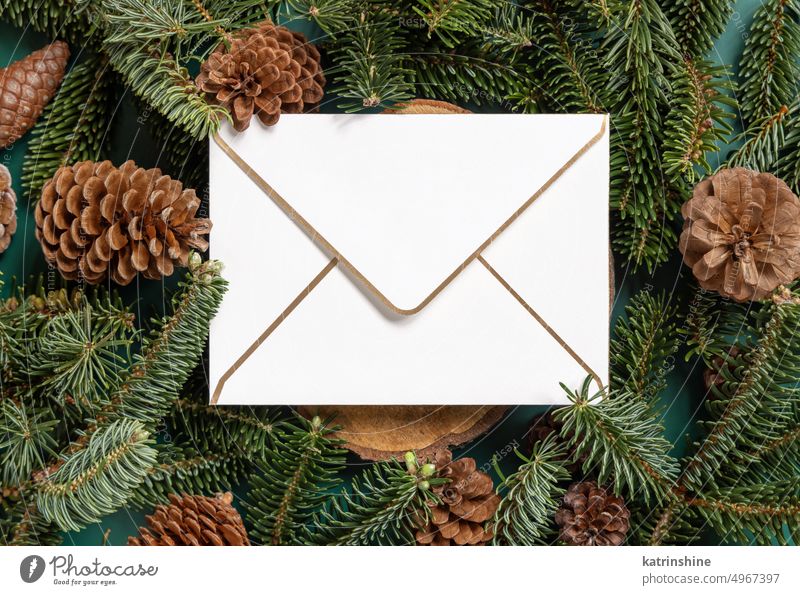Weihnachten leeren Umschlag zwischen Tannenzweigen und Tannenzapfen auf grüner Draufsicht Attrappe Kuvert Kiefernzapfen Feiertag Neujahr Vorlage Winter Papier