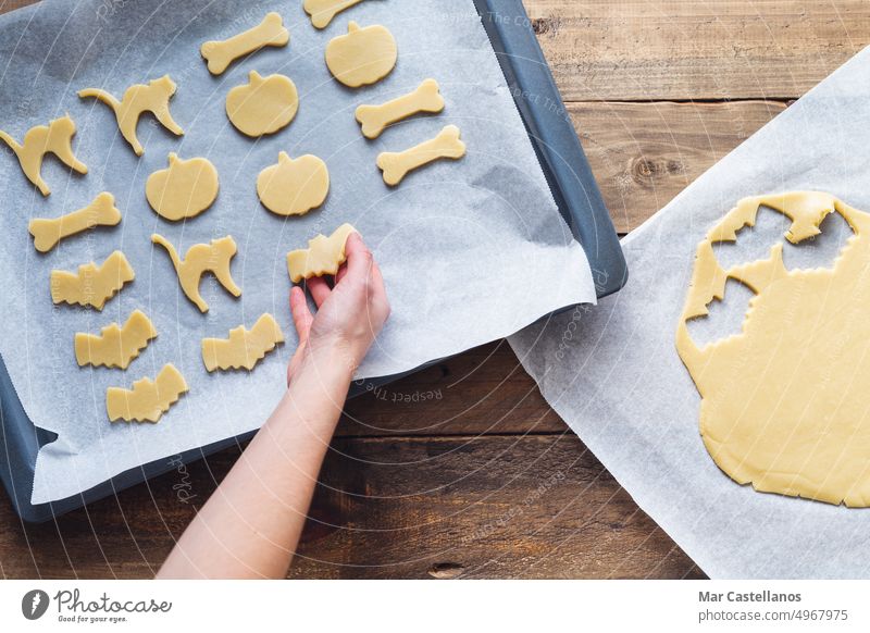 Von Hand zubereitete Kekse in verschiedenen Formen für Halloween. Platz zum Kopieren. Körperteil Cookies Varieté Lebensmittel süß Dessert Katze Fledertiere