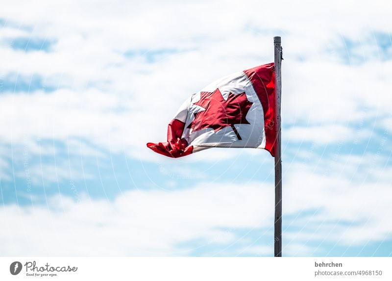 flagge zeigen British Columbia Kanada Vancouver Island besonders Nordamerika Ferien & Urlaub & Reisen Tourismus Fernweh Himmel Alberta Flagge Nationalflagge