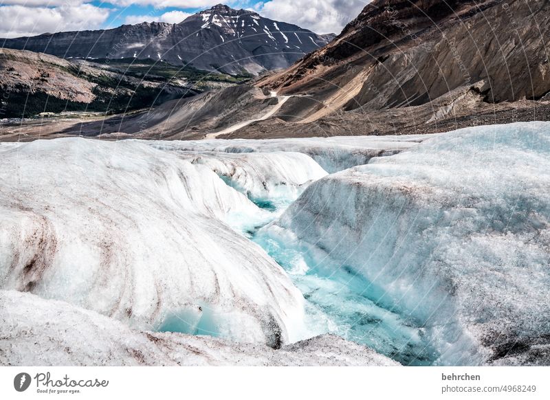 eiszeit Eiskristall Kälte Klimaschutz Klimawandel Umweltschutz beeindruckend kalt Banff National Park Icefield Parkway Gletscher Athabasca Glacier Abenteuer