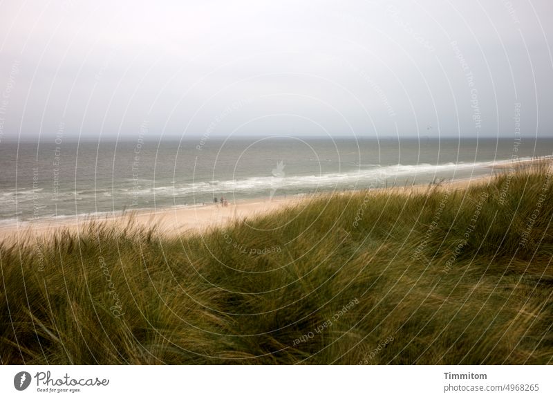 Ein verträumter Blick auf die Nordsee Meer Wasser Wellen Gischt Horizont Strand Sand Strandgras Düne Dänemark Ferien & Urlaub & Reisen Küste Mehrfachbelichtung