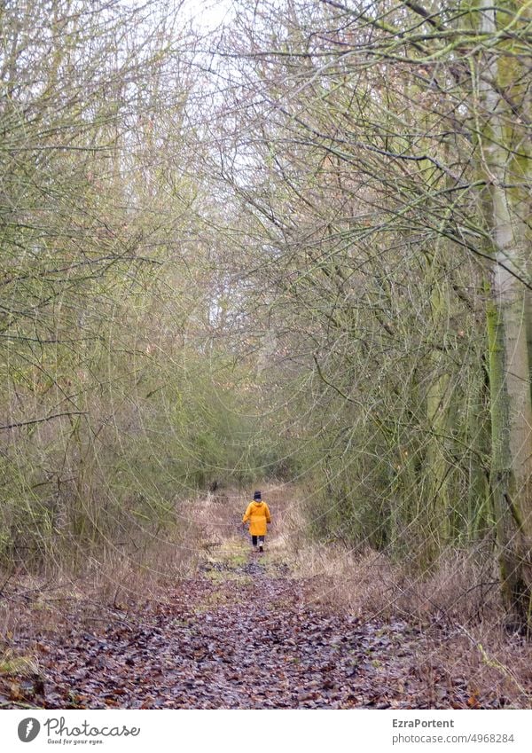 gehts Mensch 1 einzeln 1 Mensch ein Mensch Wald Baum Bäume laub Spaziergang laufen gehen Weg Landschaft wandern Waldweg Herbst