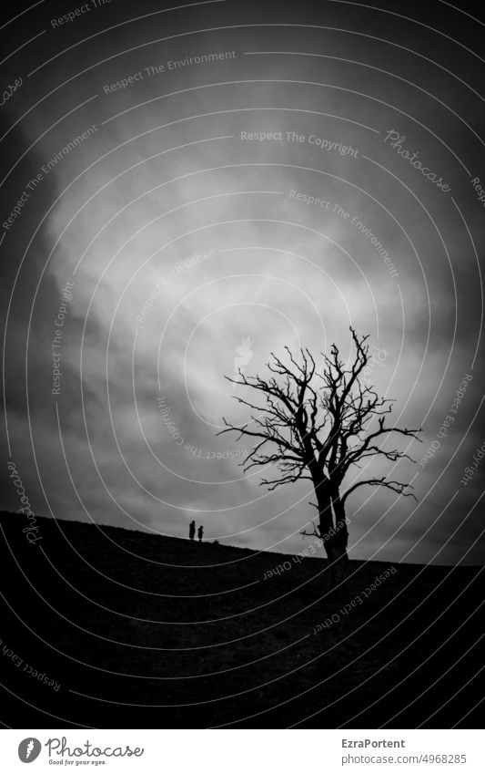 ab nach Hause Baum Menschen 2 zwei Himmel Wolken Schwarzweißfoto schwarz mystisch dunkel Natur Landschaft gruselig Halloween unheimlich grau melancholisch