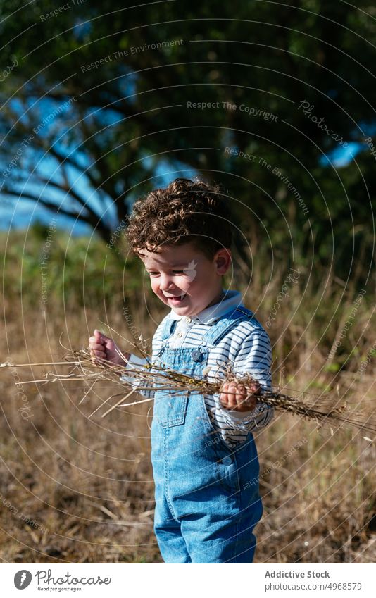 Fröhlicher Junge in sonnigem Feld beim Erkunden von Pflanzen erkunden Natur Gras Glück wenig Landschaft heiter Kind Sommer Kindheit gesamt Sonnenlicht Haufen