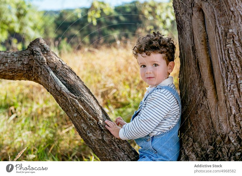 Niedliches Kind sitzt auf einem Baumstamm Junge ländlich Natur Kofferraum sorgenfrei bezaubernd Sommer niedlich Landschaft krause Haare Jeansstoff Kindheit