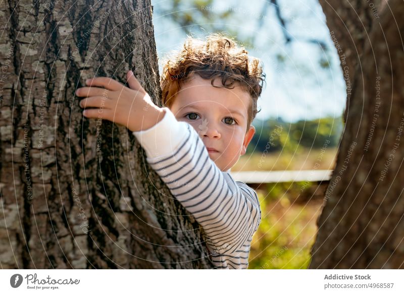 Kleiner Junge steht hinter einem Baum in der Natur Landschaft Porträt Kofferraum charmant Kindheit Sommer krause Haare natürlich ernst bezaubernd Umarmen Umwelt