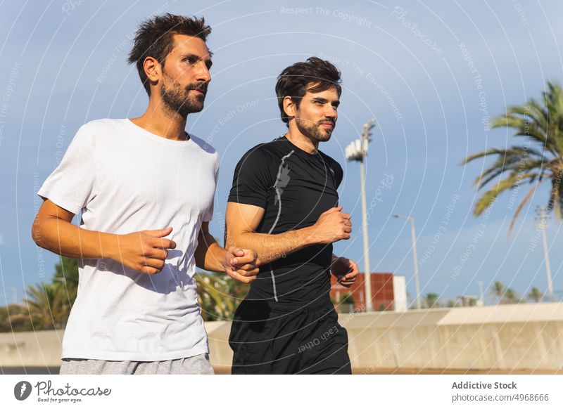 Hispanische Sportler laufen im Park Training Fitness Zusammensein Übung Herz joggen männlich Athlet Blauer Himmel wolkig Jogger üben Energie hispanisch ethnisch