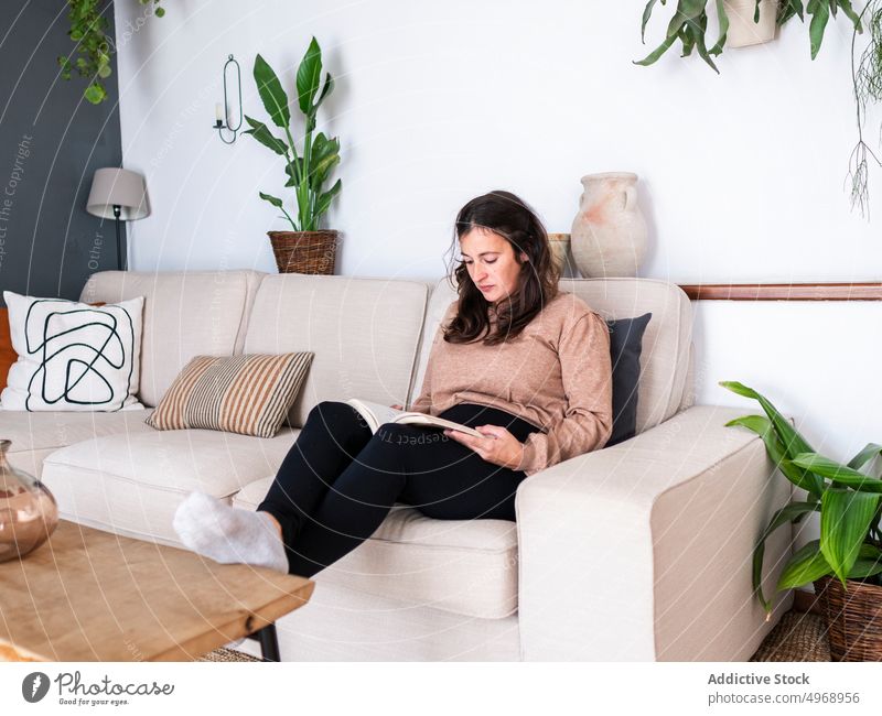 Frau auf Sofa sitzend mit Buch Liege Hobby Wohnzimmer modern Appartement Konzentration ernst lesen Freizeit Fokus heimwärts Literatur Wissen Zeitvertreib