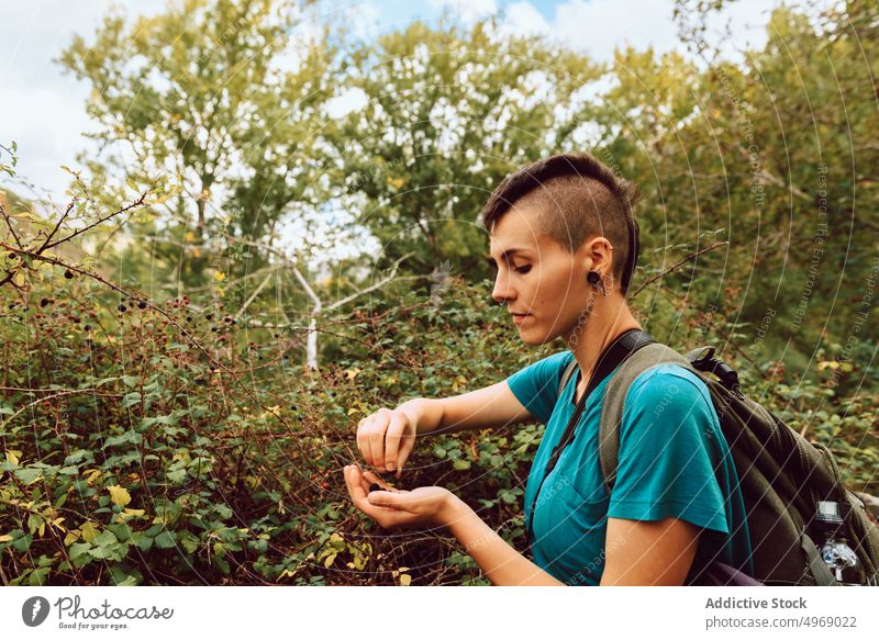 Frau beim Beerenpflücken im herbstlichen Park Tourist Wanderung Natur süß geschmackvoll reisen Abenteuer Aktivität Rucksack Erholung Herbst Gerät Ausflugsziel