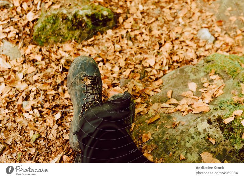 Nahaufnahme der Beine einer Frau mit Wanderstiefeln im Wald Natur Lifestyle im Freien Aktivität Menschen Fuß Gesundheit Sport aktiv jung Person Schuhe wandern