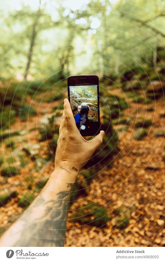 Die Hand hält ein Handy und macht ein Foto im Wald Baum Herbst Holz Natur Landschaft Park Welt Ansicht Moos Panorama hell farbenfroh malerisch fallen reisen