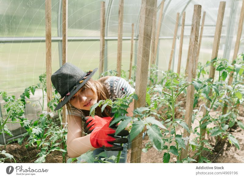 Junge Frau bei der Pflege von Gurken im Gewächshaus Salatgurke Gartenbau Ackerbau Gartenarbeit Agronomie Beruf grün Pflanze Botanik Bodenbearbeitung Natur