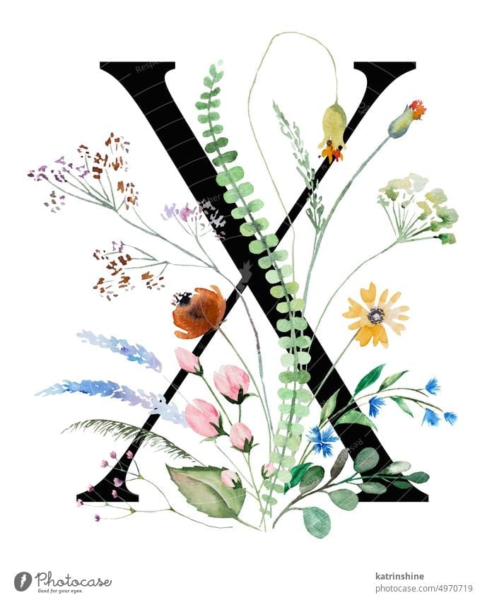 Schwarzer Großbuchstabe X mit Aquarell Wildblumen und Blätter, isoliert Hochzeit Element Geburtstag botanisch Charakter Zeichnung Garten handgezeichnet Feiertag