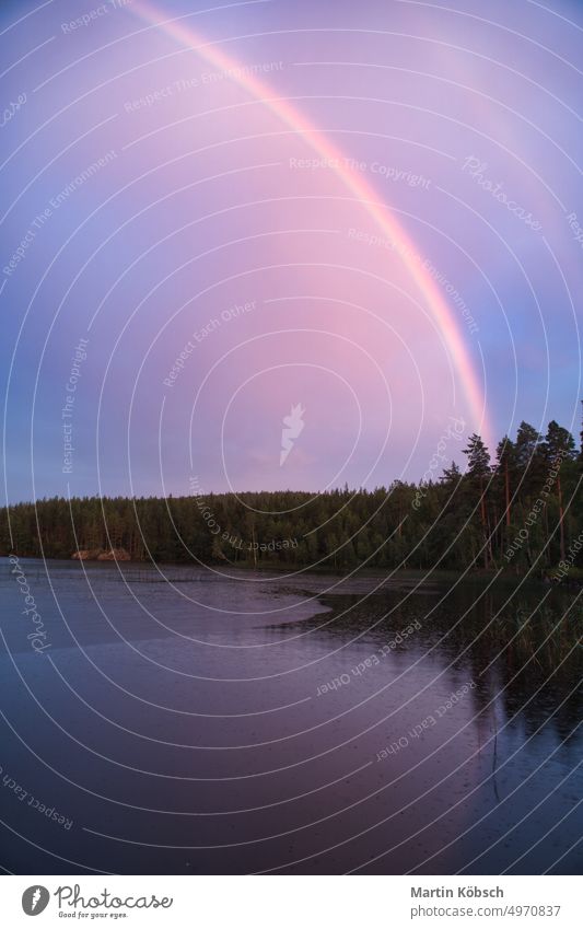 Der Regenbogen spiegelt sich im See, wenn es regnet. auf dem Schilf und den Seerosen. Wald Regentropfen Reflexion & Spiegelung Schweden Urlaub Cloud Natur