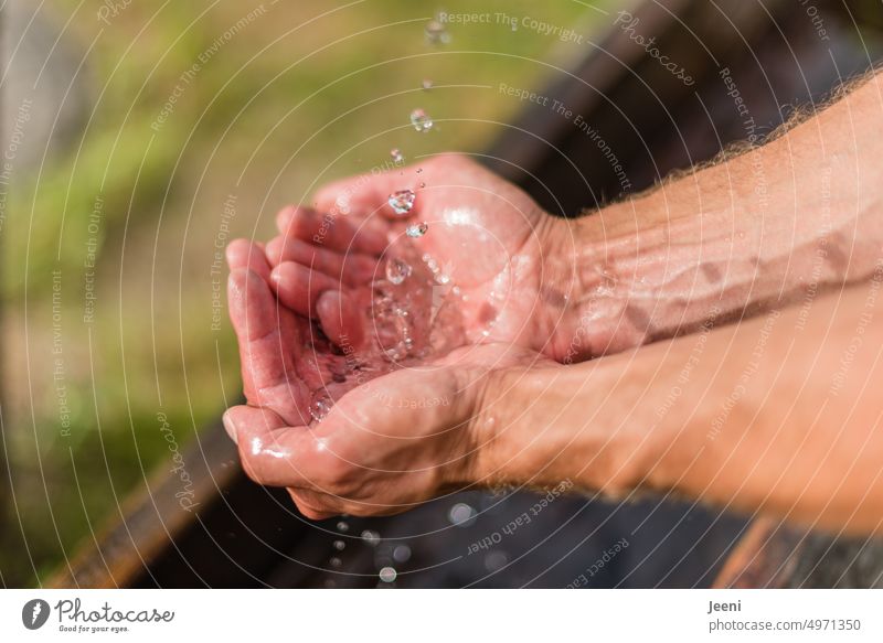 Frisches Wasser Wassertropfen Wasserstrahl Hände frisch Arme Mann trinken waschen nass Sauberkeit Erfrischung Tropfen kalt fließen kühl rein Klarheit