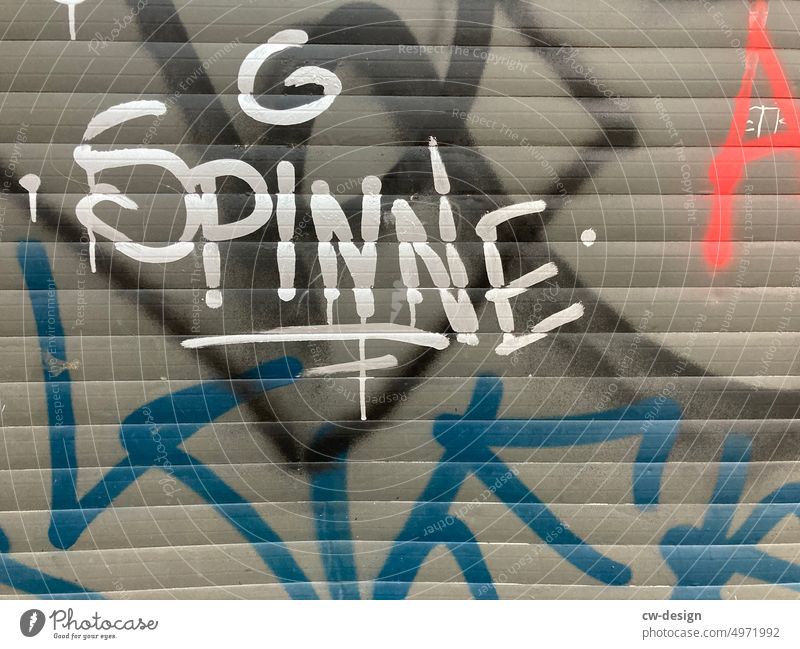 SPINNE Spinne urban Vandalismus Botschaft Coolness dreckig Stadtleben Detailaufnahme Grafik u. Illustration Graffiti Straßenkunst Kunst Strukturen & Formen
