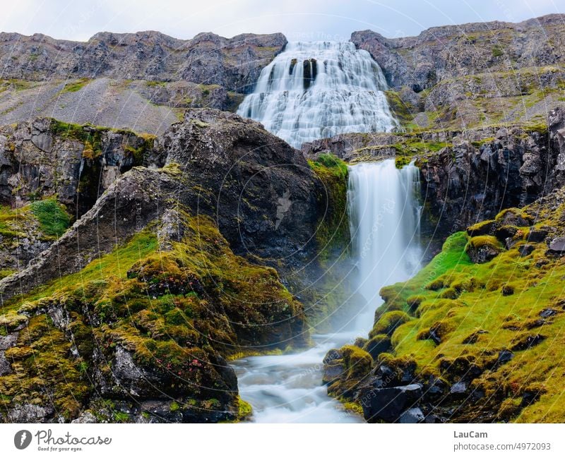 Dynjandi: ein Hingucker im Nordwesten Islands Wasserfall Fluss Flussufer Natur Naturgewalt Urelemente Landschaft Gischt Felsen Kraft nass wild Schlucht