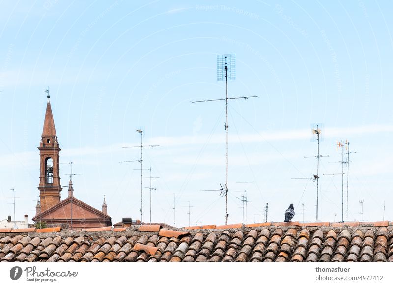 Die Taube auf dem Dach - mit gutem Empfang ;-) Wolken Himmel Sonnenlicht Städtereise Sommer Antenne Antennenwald Kirchturm Dächer mediterran Ruhe verloren