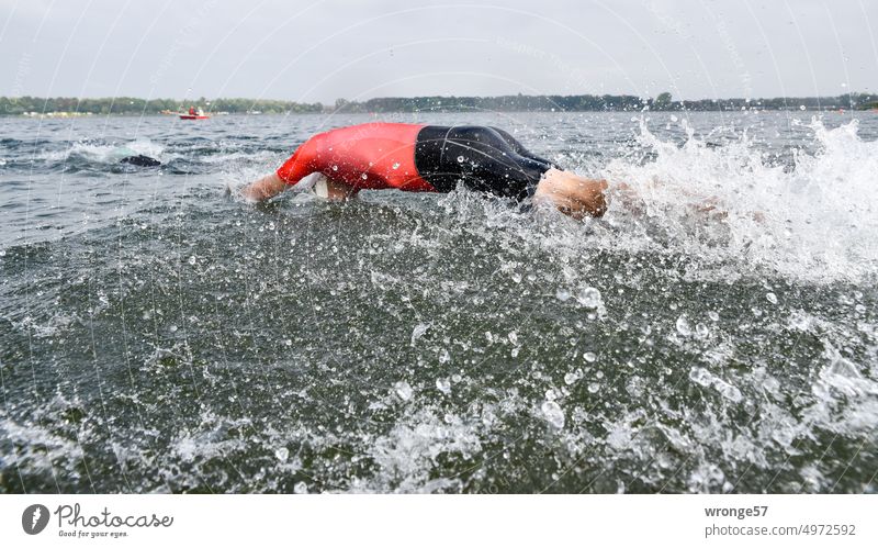 Start eines Athleten beim Triathlon Schwimmende Schwimmdistanz schwimmanzug Kopfsprung Hechtsprung sehen Sport Dynamik wasserspritzer