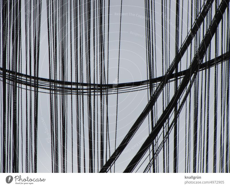 Sichtschutz Muster Strukturen & Formen Vorhang Stoff Gardine hängen Textilien Häusliches Leben Dekoration & Verzierung durchsichtig hell dunkel hell & dunkel