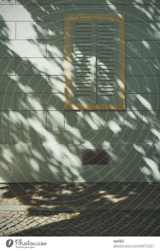 Ladenschluss Hauswand Fenster geschlossen Fassade Wand Totale Bauwerk Sonnenlicht Schatten gepunktet durchscheinend Baumschatten Lichterscheinung Blätterdach