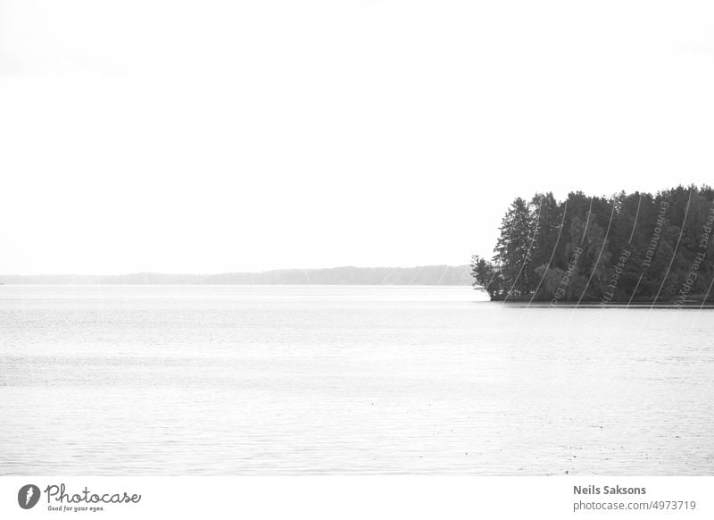 Schwarz-Weiß-Landschaft mit See und klarem Himmel und kleine Insel mit Wald bedeckt erstaunlich Herbst Hintergrund schön schwarz auf weiß blau Ruhe Sauberkeit