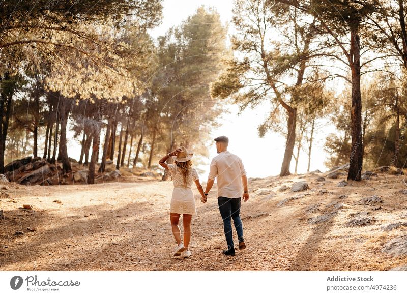 Paar, das sich an den Händen hält, geht gegen einen grünen Wald am Abend Spaziergang Glück Park romantisch Liebe schlendern Freundin Termin & Datum Landschaft