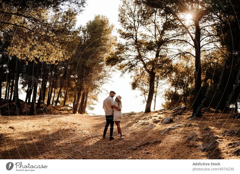 Paar hält die Hände und lächelnd beim Spaziergang gegen grünen Wald in den Abend Glück Park romantisch Liebe schlendern Freundin Termin & Datum Landschaft