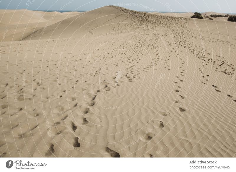 Textur des Sandbodens Fußspuren Land Düne Spanien wüst Rippeln Europa Sommer Natur Landschaft reisen Abenteuer trocknen heiß malerisch Staubwischen winken Form