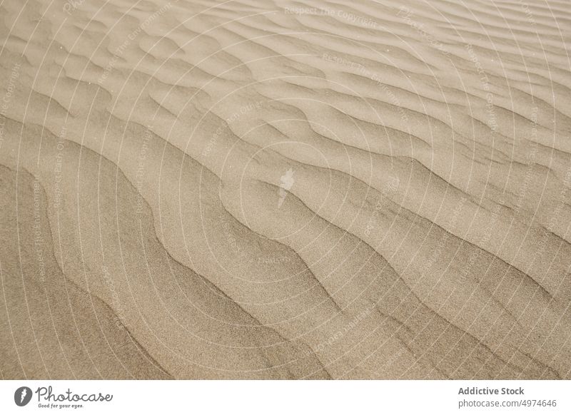 Textur des Sandbodens Land Düne Spanien wüst Rippeln Europa Sommer Natur Landschaft reisen Abenteuer trocknen heiß malerisch Staubwischen winken Form