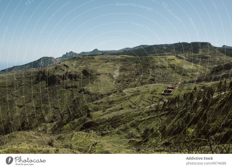 Hügelige und grüne Landschaft der Kanarischen Inseln Berge u. Gebirge Kanarienvogel Natur Spanien Himmel reisen ländlich malerisch Dorf Hintergrund Bauernhof