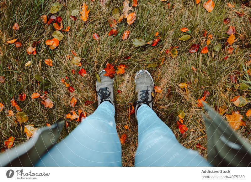 Person, die über einem nassen Boden voller Herbstlaub steht gelb Wald braun Natur Blatt Hintergrund Stock Wasser Fuß fallen Blätter Regen orange Saison Park