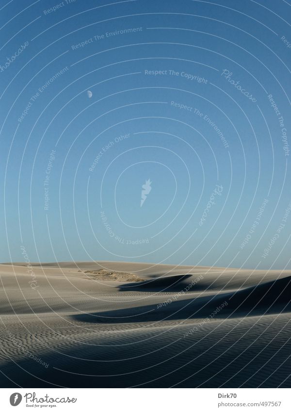 Wüst und leer im Mondenschein Umwelt Sand Sommer Klima Hügel Wüste Düne Stranddüne Jütland Dänemark Skandinavien Menschenleer Unendlichkeit kalt trist trocken