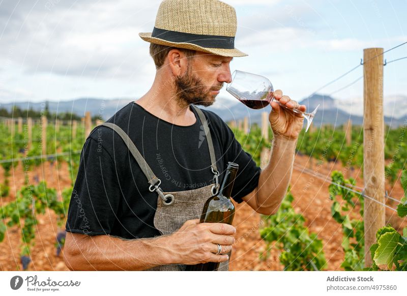 Erwachsener Landwirt, der an einem bewölkten Tag mit einer Weinflasche, die in einem Glas serviert wird, die Reben inspiziert und daran riecht Mann Traube Ernte