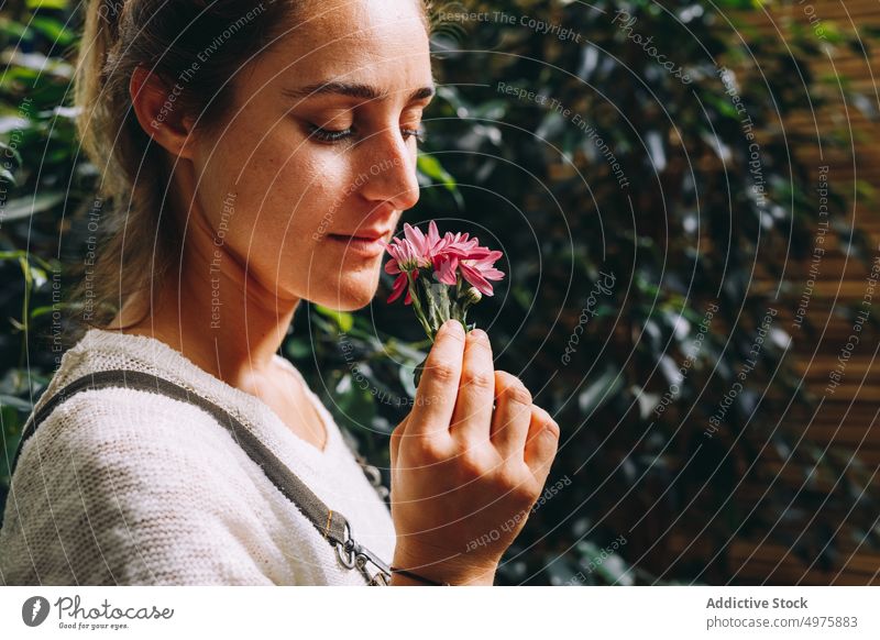 Junge Frau steht in einer Orangerie und riecht an einer Blume riechen Gewächshaus Gänseblümchen Garten genießen Pflanze Margarita wachsen Arbeit kultivieren
