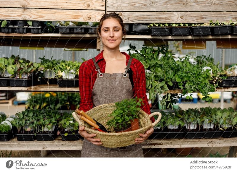 Gärtner mit Werkzeug und Setzlingen Gewächshaus sprießen führen Frau Arbeit Ackerbau grün organisch Botanik Garten Keimling Pflanze Kleinunternehmen