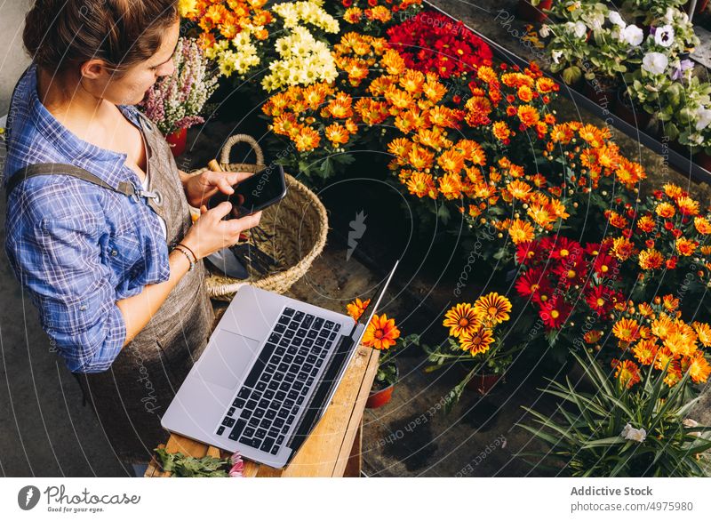 Frau arbeitet in Orangerie und benutzt Telefon benutzend Gärtner Blume Arbeit Laptop Margarita Pflanze Nachricht Mobile Smartphone Floristik Funktelefon
