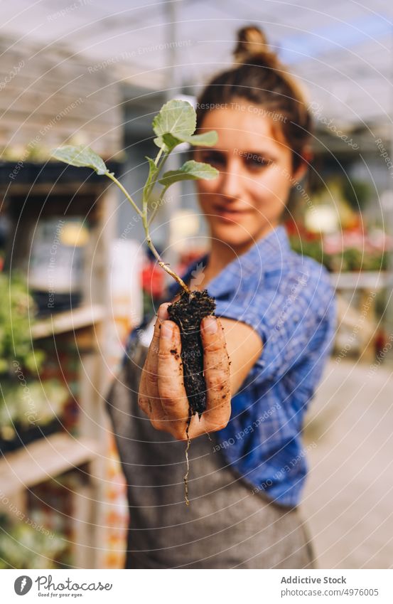 Frau hält grünen Setzling mit Erde Pflanze wachsen Keimling Arbeit sprießen Garten kultivieren Boden Arbeitsplatz Gewächshaus Orangerie Hände Kleinunternehmen
