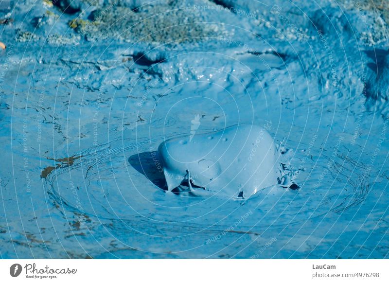 Tierisch brodelnder Schlamm Blase Robbe heiße Quelle Natur Schlammtopf Geothermie geothermal Island kochen blubbern auftauchen Tierkopf Unterwelt Urelemente