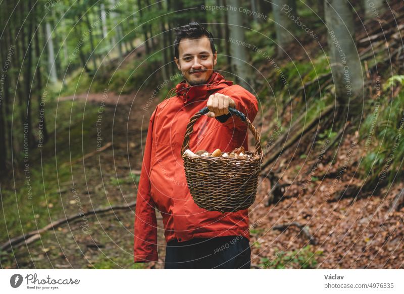 Mann in Outdoor-Kleidung hält einen Korb voller Pilze, hauptsächlich Steinpilze (Boletus edulis) aus dem Herbstwald. September und Oktober. Finden und Sammeln von Pilzen