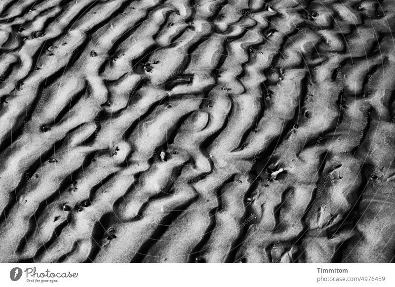 Sandlinien in sw Strand Ebbe Ebbe und Flut Nordsee Dänemark Linien Schwarzweißfoto Gezeiten Meer Natur nass hell und dunkel Menschenleer
