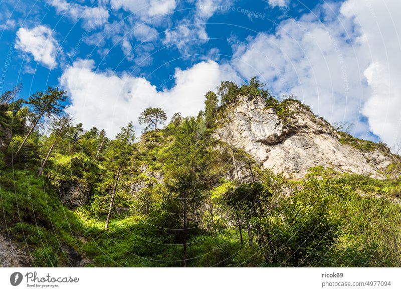 Die Almbachklamm im Berchtesgadener Land Alpen Gebirge Bayern Tal Klamm Berg Gras Landschaft Natur grün Sehenswürdigkeit Sommer Himmel Wolken blau Urlaub Reise