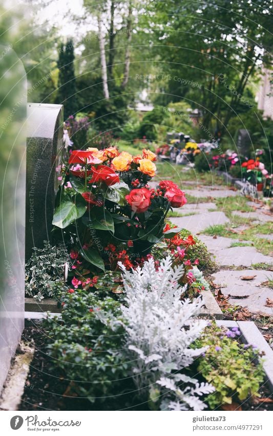 Was kommt was bleibt? Nach dem Tod... | Blumen und Erinnerungen auf dem Friedhof Grab Grabstein Trauer Außenaufnahme Religion & Glaube Frieden Hoffnung Ruhe