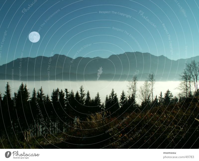 ...über den Wolken Wald Vollmond Nebel Licht Österreich Berge u. Gebirge Mond Himmel