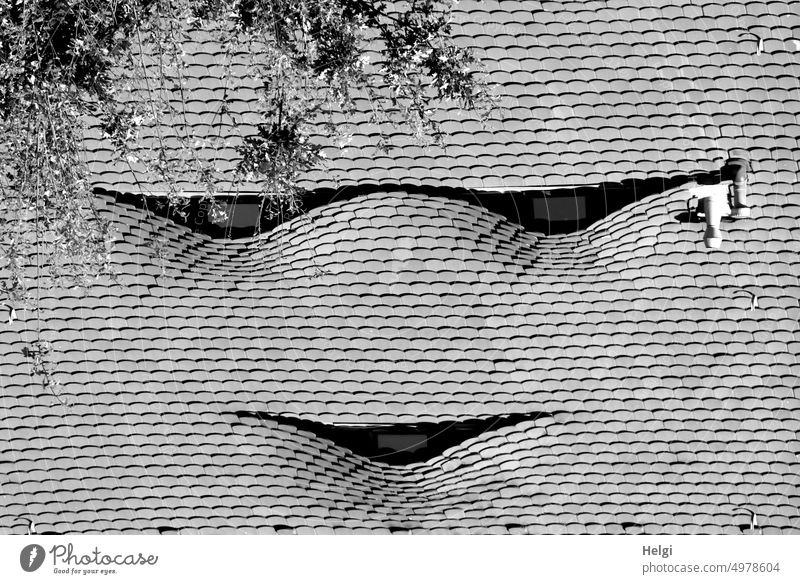 ein Lächeln ... Dach Dachgaube Gebäude Augen Mund Gesicht surreal Dachschindeln Außenaufnahme Architektur Menschenleer Haus Fenster Ast Zweig außergewöhnlich