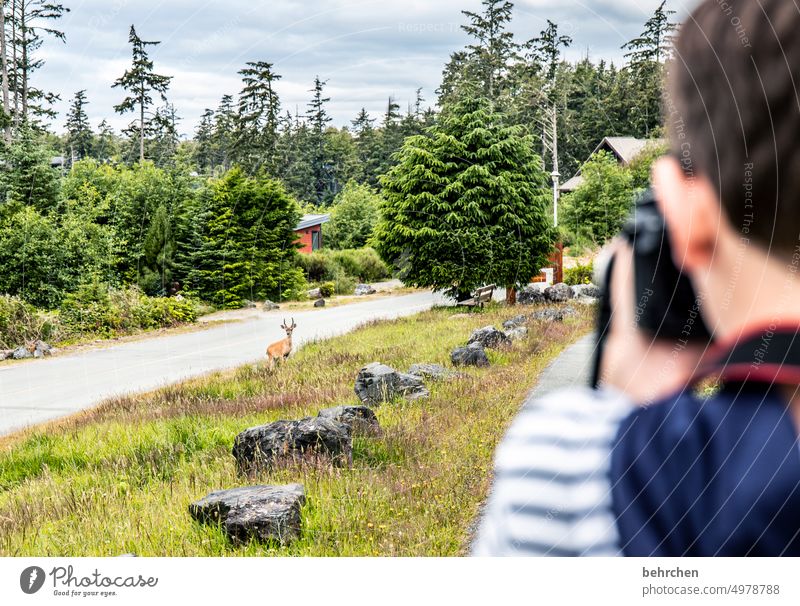 naturverbunden | tierfotograf Natur Landschaft Bäume Vancouver Island British Columbia Sohn Kind Junge Familie & Verwandtschaft Kindheit Außenaufnahme
