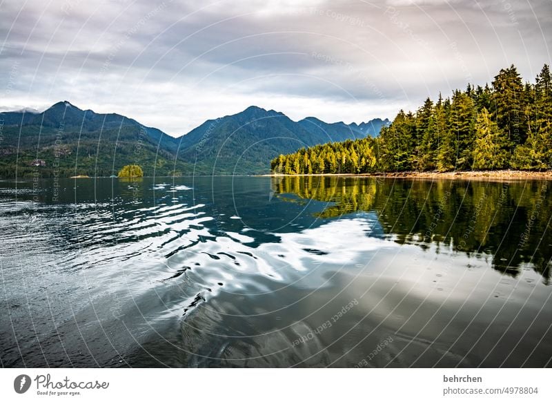 schönheit Spiegelung Himmel Berge u. Gebirge beeindruckend besonders Natur Küste Landschaft Meer Wald Bäume British Columbia Wasser Abenteuer Freiheit Kanada