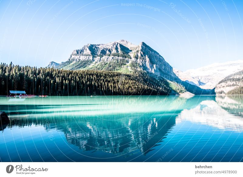 still ruht der see stille friedlich Einsam Einsamkeit Himmel Gletscher Banff National Park Bergsee Reflexion & Spiegelung weite Ferne Fernweh besonders